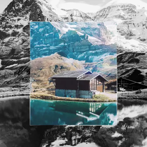 SwissYear-Contact